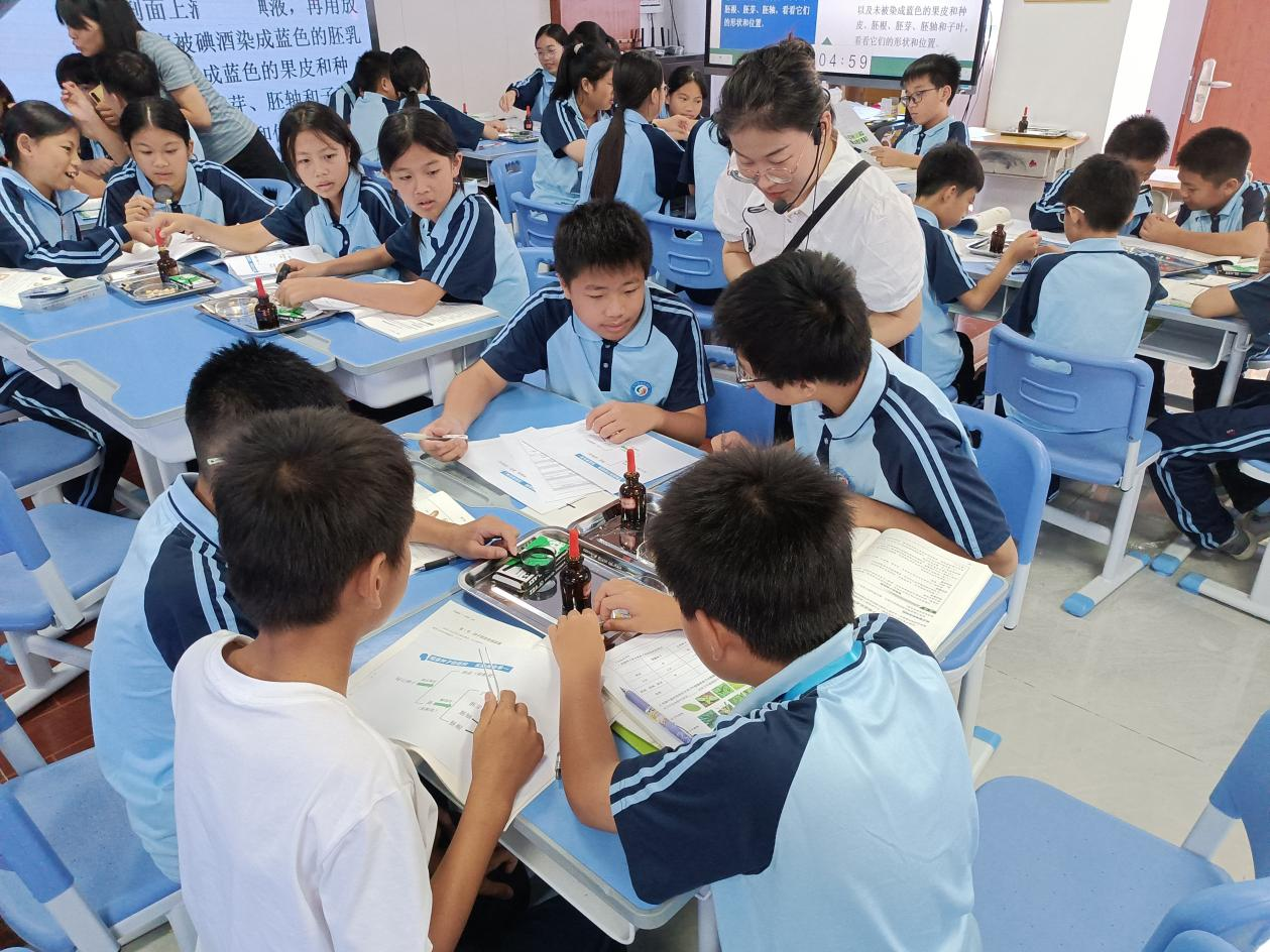 图片 9.png